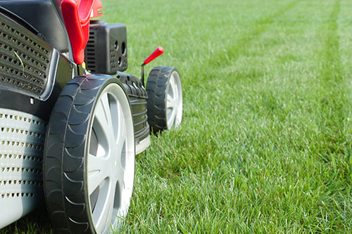 no mowing