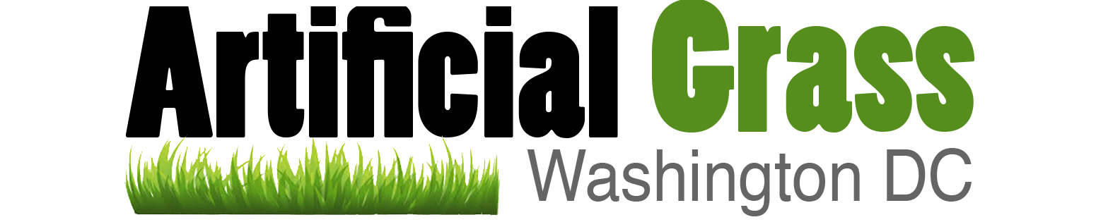 Artificial Grass in Washington, DC